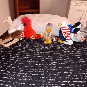 Rare and retired lot of Bird Beanie Babies